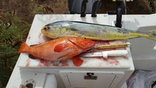 Load image into Gallery viewer, Fish and SCUBA Dive Combo Trip