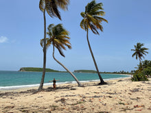 Load image into Gallery viewer, Sightsee St Croix or Island Hop