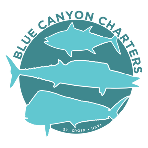 Blue Canyon Charters LLC