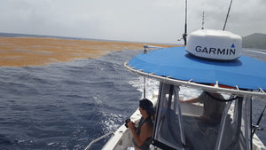 Fishing Charter Deposit - 4 Hour Trip