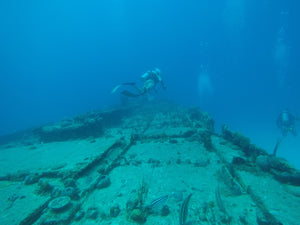 2 Tank Private Scuba Diving + Half Day Fishing 8hr COMBO Deposit
