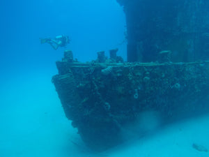 2 Tank Private Scuba Diving + Half Day Fishing 8hr COMBO Deposit