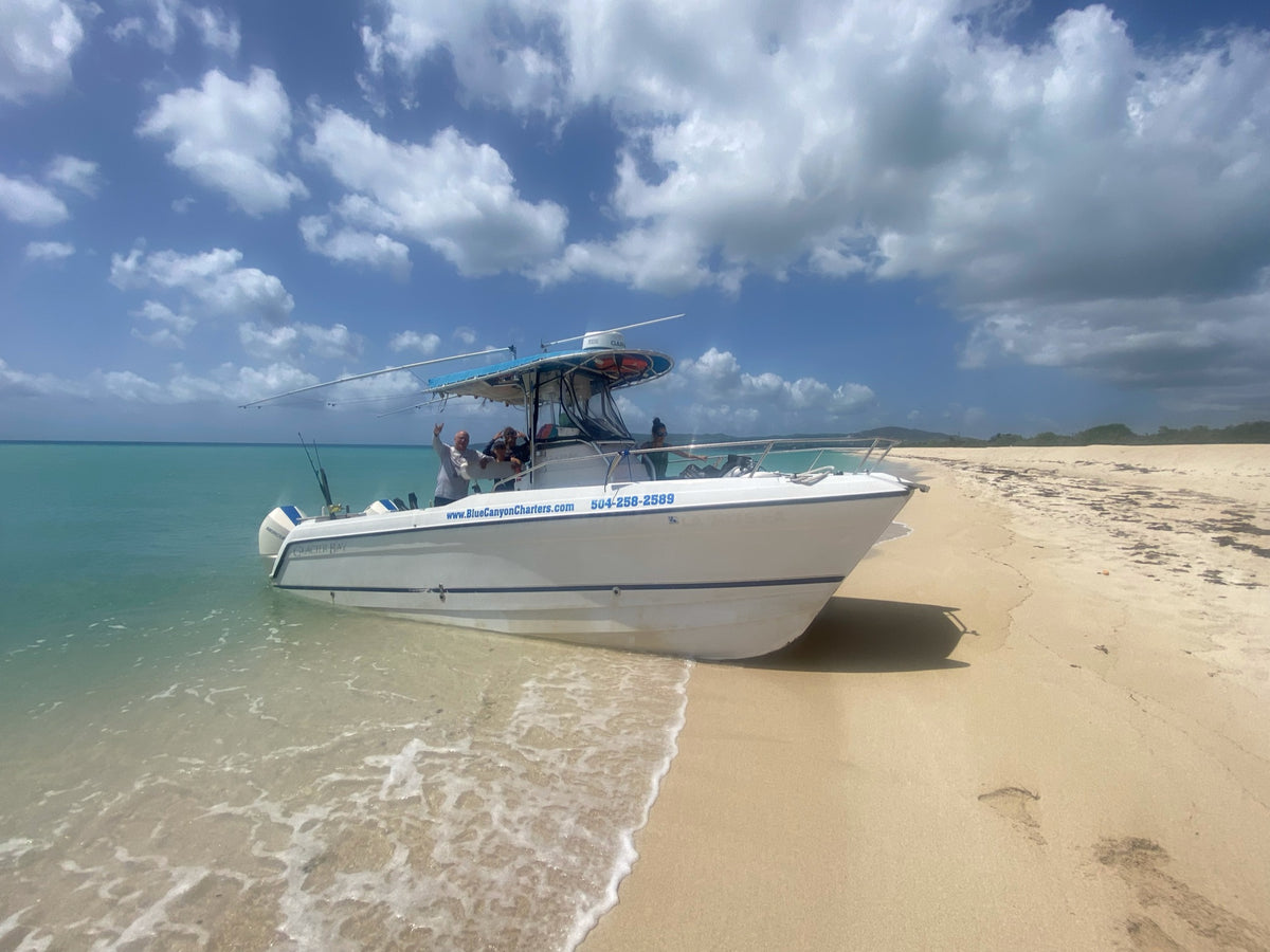 Blue Canyon Charters business image